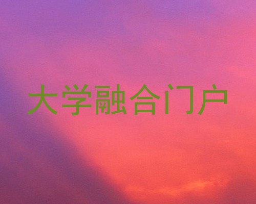 大学融合门户
