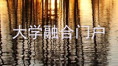 大学融合门户