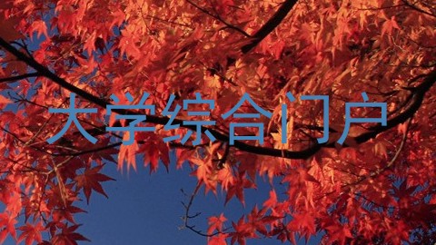 大学综合门户