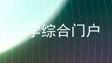 大学综合门户