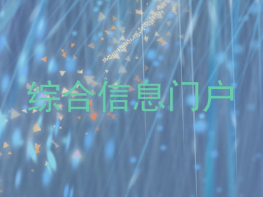 综合信息门户