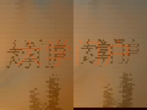 大学门户
