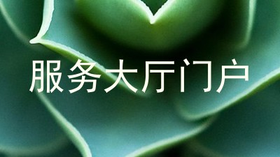 服务大厅门户