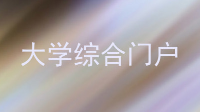 大学综合门户