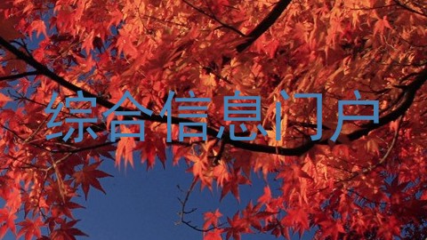 综合信息门户