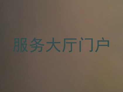 服务大厅门户