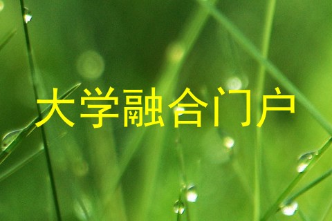 大学融合门户