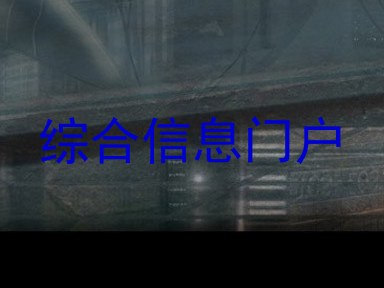 综合信息门户