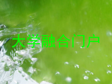 大学融合门户
