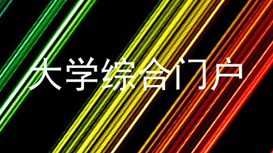 大学综合门户