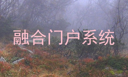 融合门户系统