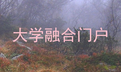 大学融合门户