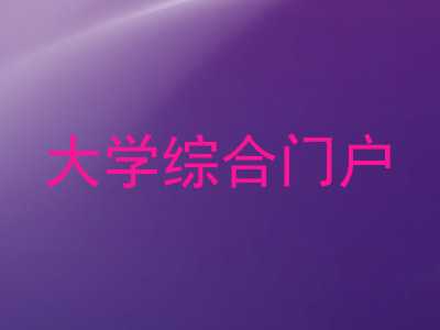 大学综合门户