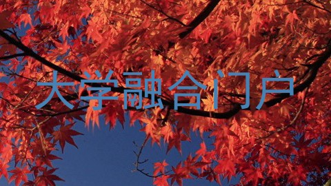 大学融合门户