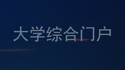 大学综合门户