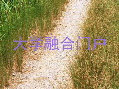 大学融合门户