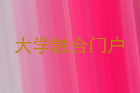 大学融合门户