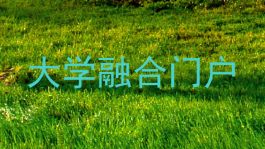 大学融合门户