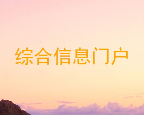 综合信息门户