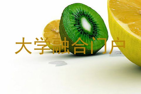 大学融合门户
