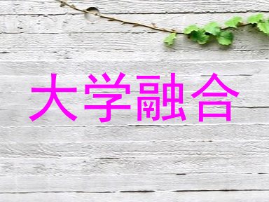 大学融合