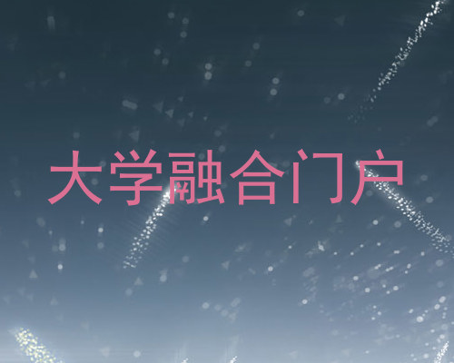 大学融合门户
