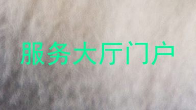 服务大厅门户