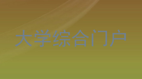 大学综合门户