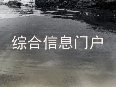 综合信息门户