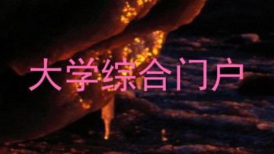 大学综合门户