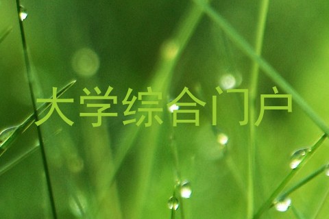 大学综合门户