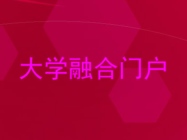 大学融合门户