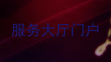 服务大厅门户