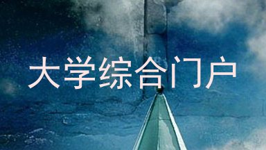大学综合门户
