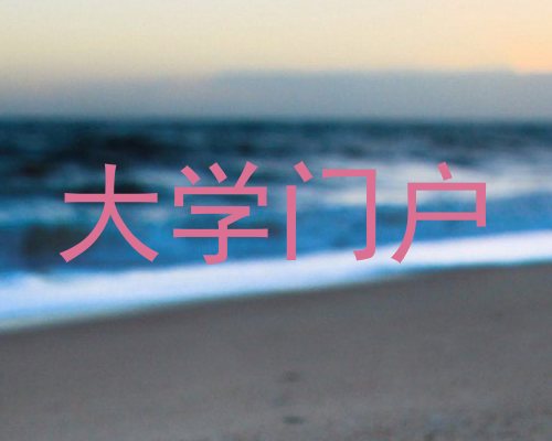 大学门户
