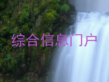 综合信息门户