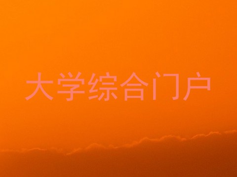 大学综合门户