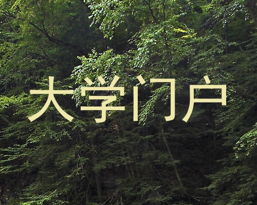 大学门户