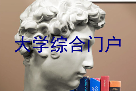 大学综合门户