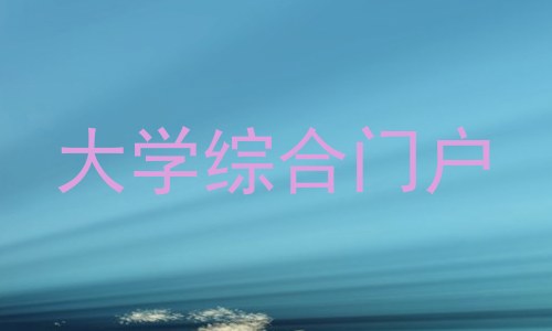 大学综合门户