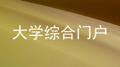 大学综合门户