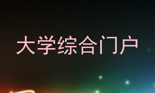 大学综合门户