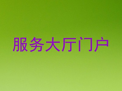 服务大厅门户