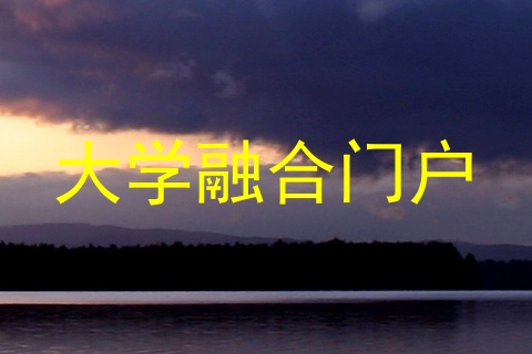 大学融合门户