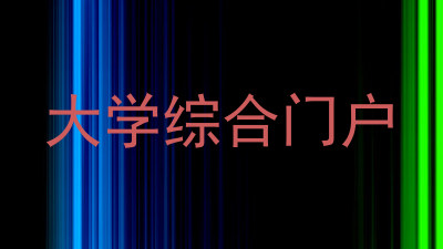 大学综合门户