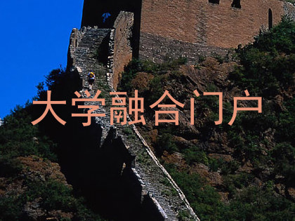 大学融合门户