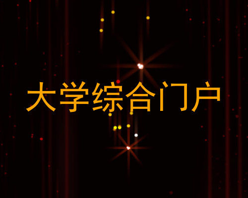 大学综合门户