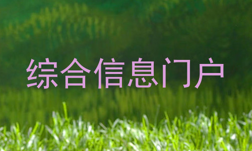 综合信息门户