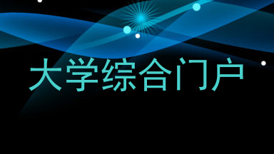 大学综合门户