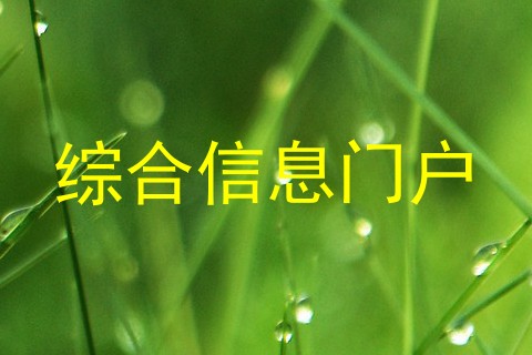 综合信息门户
